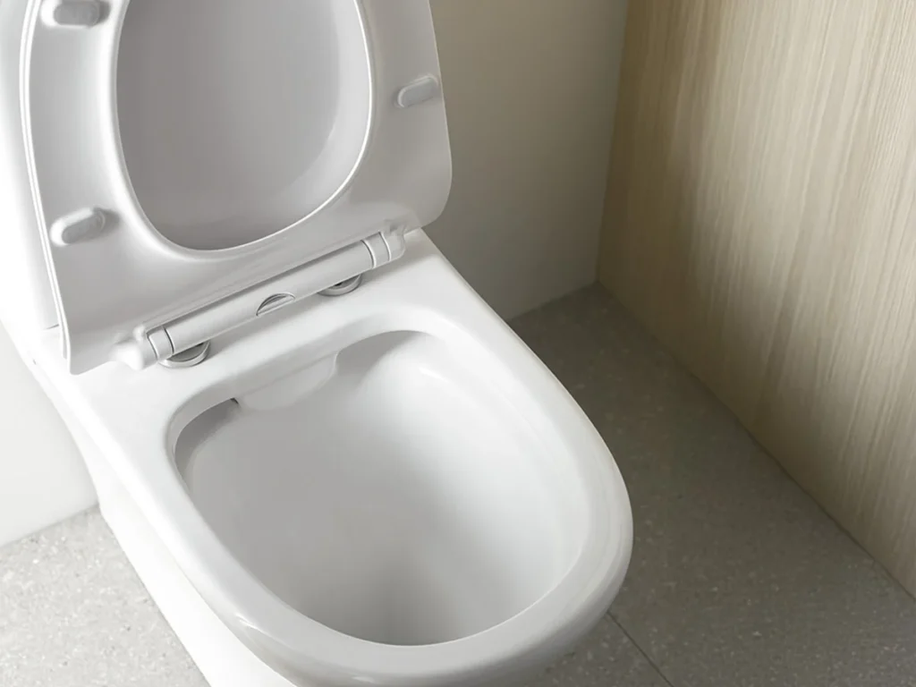 Inodoro con tapa amortiguada, sistema de fácil liberación y sistema Rimless.